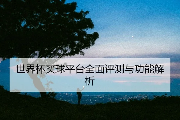 世界杯买球平台全面评测与功能解析