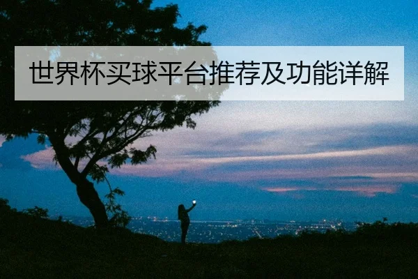 世界杯买球平台推荐及功能详解
