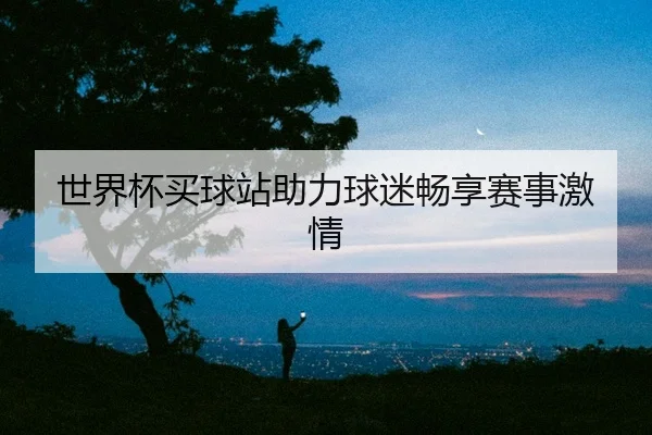 世界杯买球站助力球迷畅享赛事激情