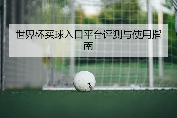 世界杯买球入口平台评测与使用指南
