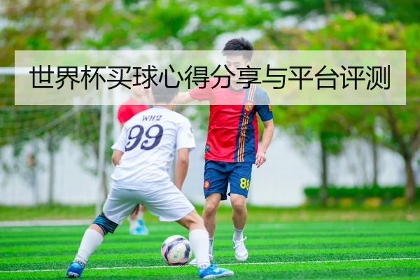 世界杯买球心得分享与平台评测