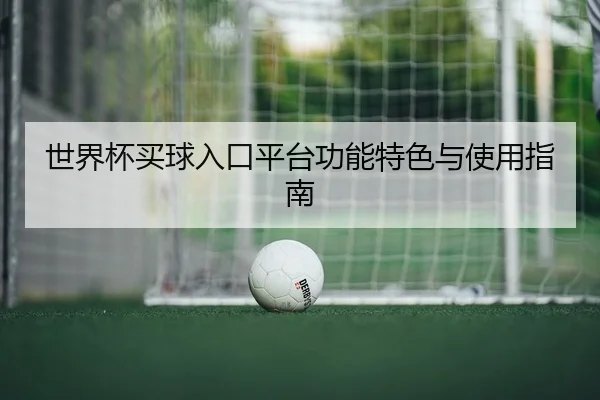 世界杯买球入口平台功能特色与使用指南