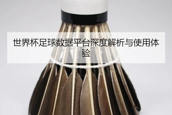 世界杯足球数据平台深度解析与使用体验