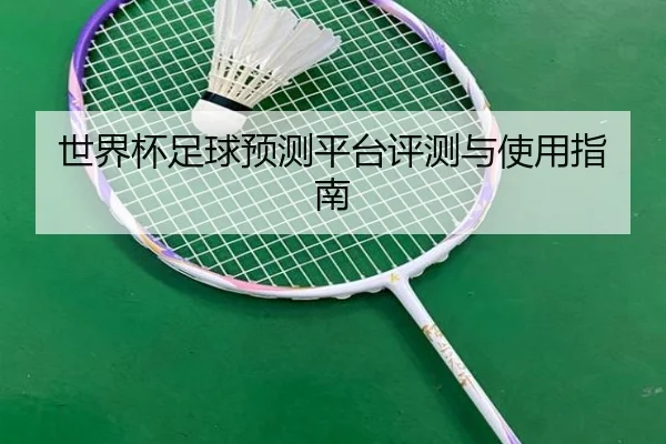 世界杯足球预测平台评测与使用指南