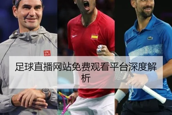 足球直播网站免费观看平台深度解析